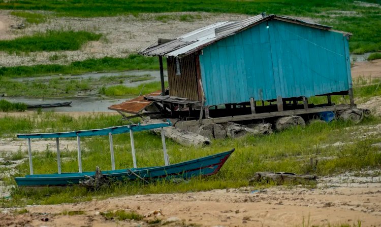 Bacia Amazônica registra menores volumes de chuva em mais de 40 anos