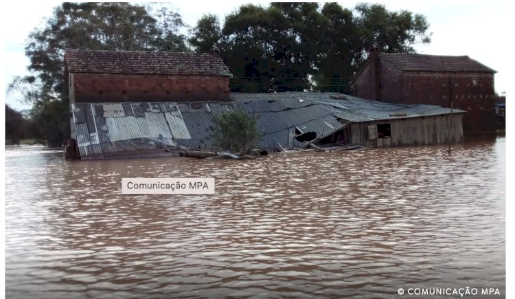 Chuvas no RS: governo liberou R$ 2,5 bilhões para agricultura familiar