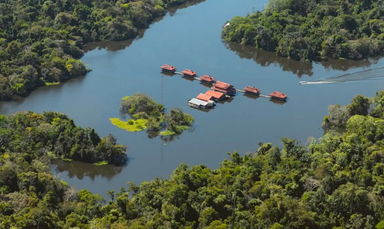 Campanha da Fraternidade pede mudança de atitude com meio ambiente