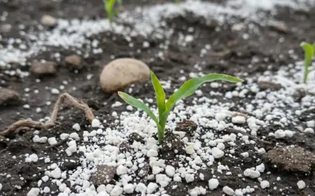 Mineradora Monte Karlo: Calcário para todas as culturas — soja, milho, café, cana, pastagem e fruticultura