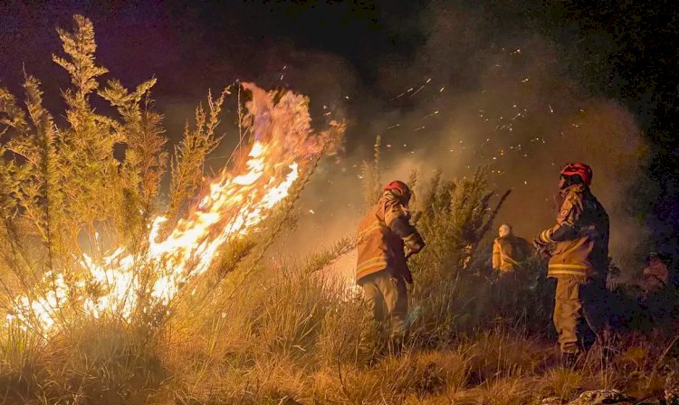 Ministério Público investiga incêndio no Parque Nacional do Itatiaia