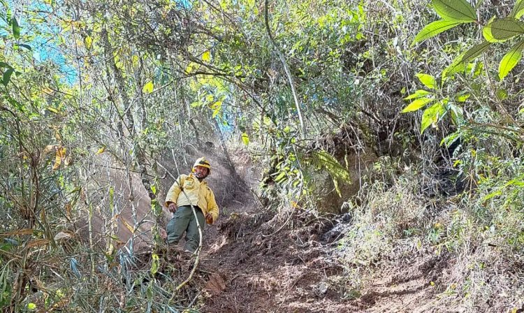 Parque Nacional do Itatiaia retoma visitação pública após incêndio