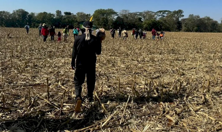 Comitiva federal visita áreas de conflitos indígenas em MS