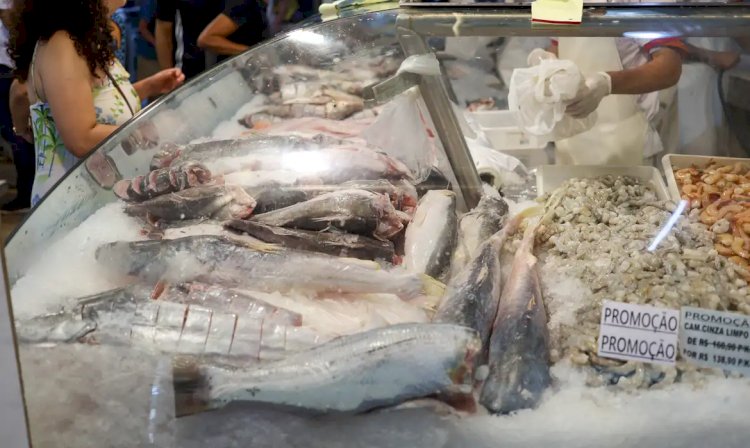 Semana do pescado pretende aumentar consumo do produto em 30%