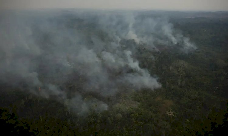 Risco de incêndio fecha 80 Unidades de Conservação em São Paulo