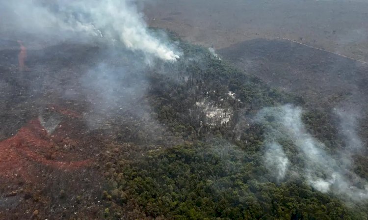 Incêndio florestal no Parque Nacional de Brasília está controlado