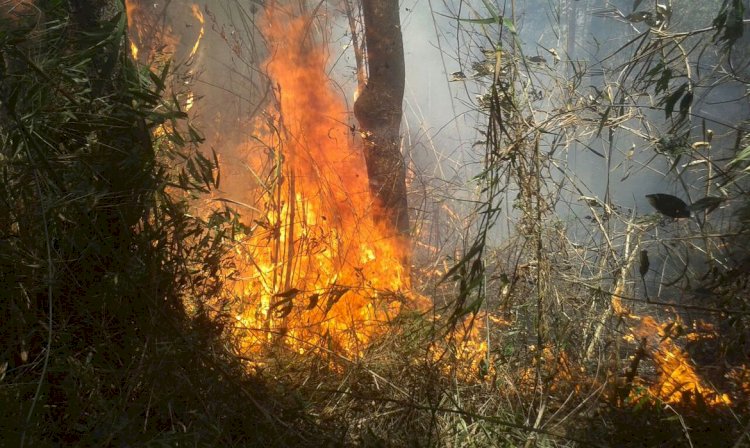 Rio: Justiça transforma em preventiva prisão de acusado de incêndio