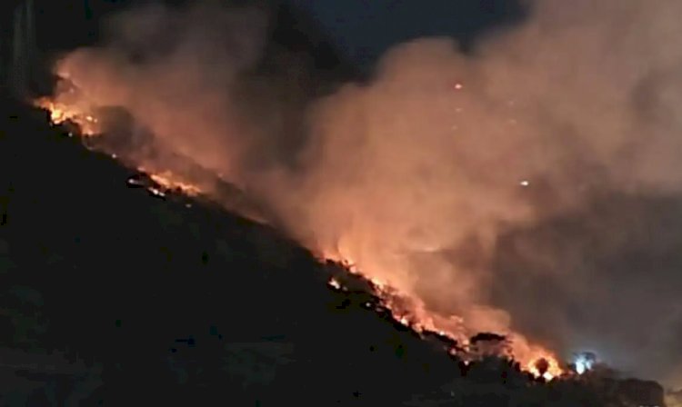 Bombeiros combatem fogo na Floresta da Tijuca por mais de 14 horas