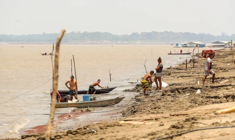 Enel fez apenas 1? podas de árvores perto da rede elétrica este ano