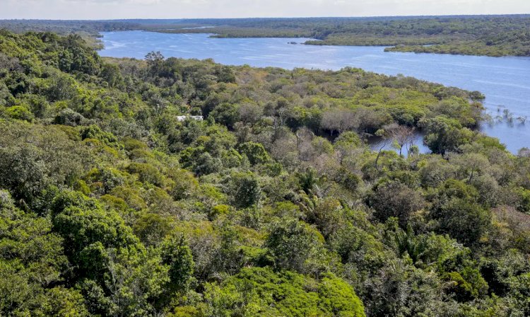 Conflito por território é principal gerador de violência na Amazônia