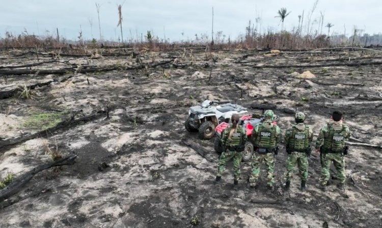 AGU cobra R$ 76 milhões de desmatadores em cinco biomas