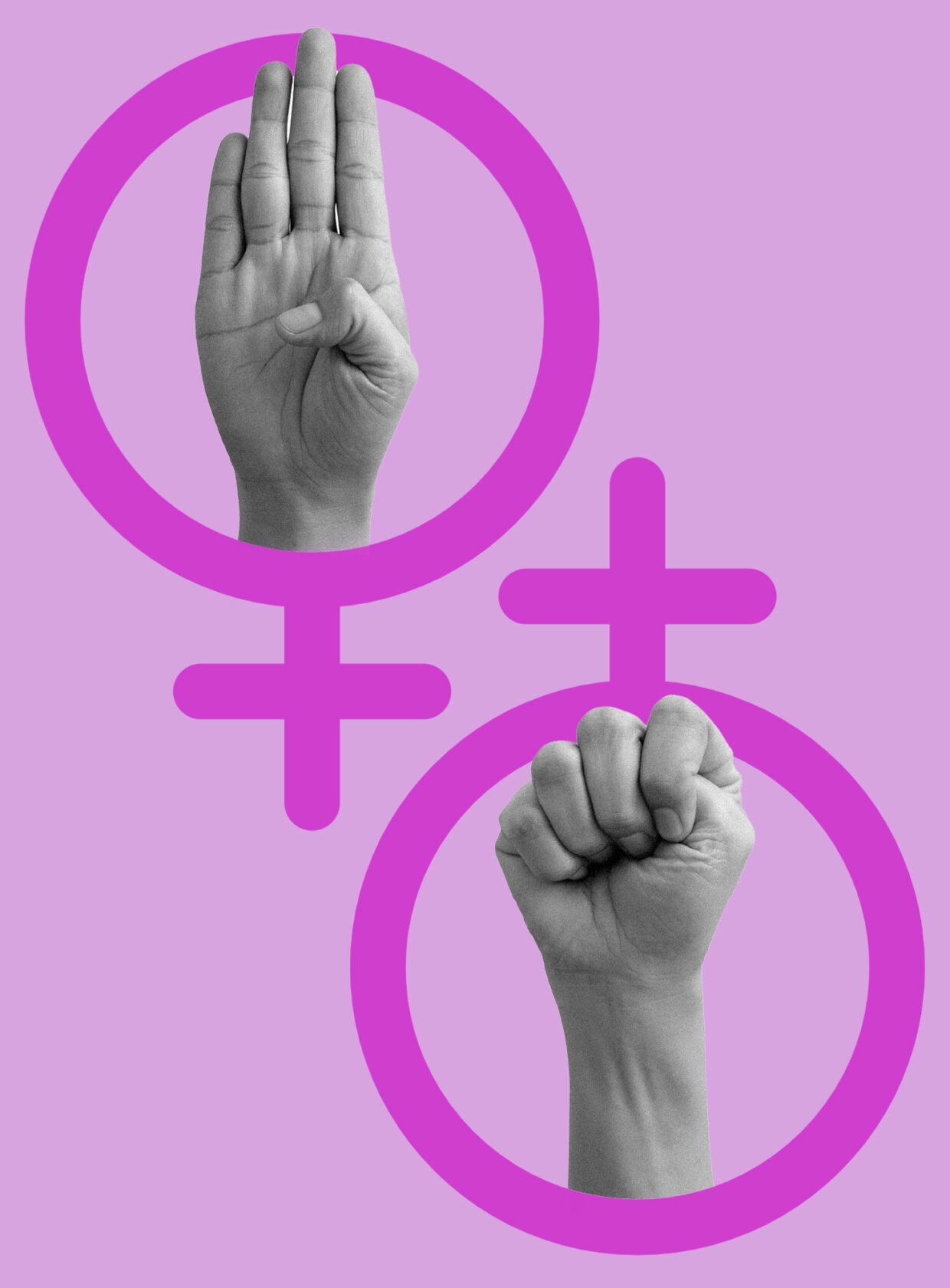 Câmara analisa PLP que cria sistema nacional de combate ao feminicídio com R$ 5 bilhões em recursos