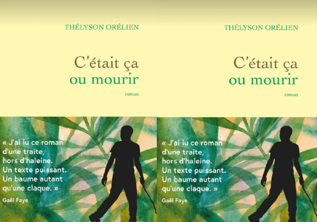 Prêmio literário francês retira livro da competição após suspeita de uso de inteligência artificial