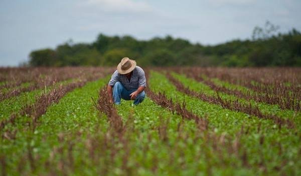 Novas regras do seguro rural passam a valer e ampliam proteção para produtores brasileiros
